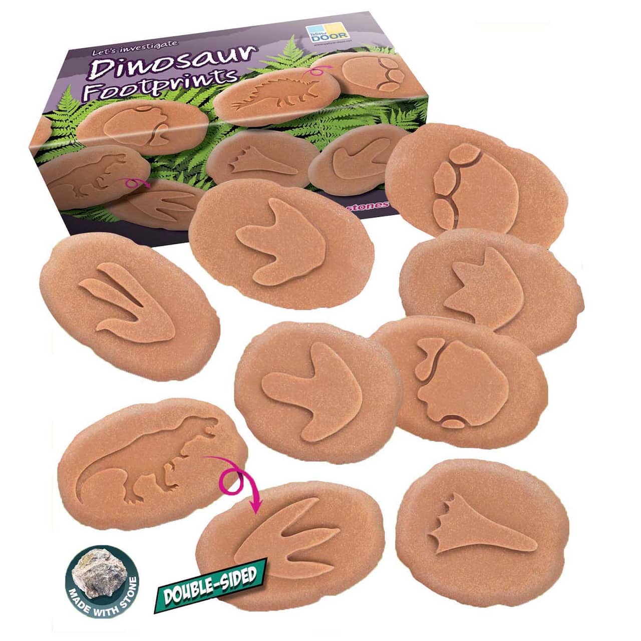 Yellow Door Let's Investigate Dinosaur Footprints